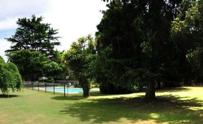 High Country Motor Inn Bright Phòng bức ảnh